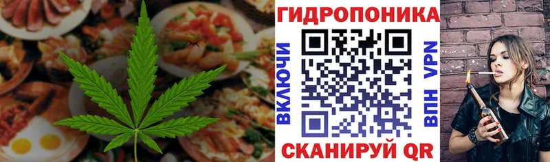 Canna-Cookies марихуана Ставрополь