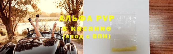 сатива Вяземский