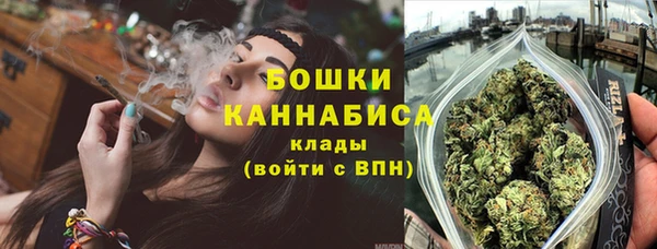 сатива Вяземский