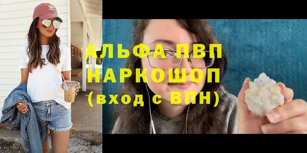 сатива Вяземский