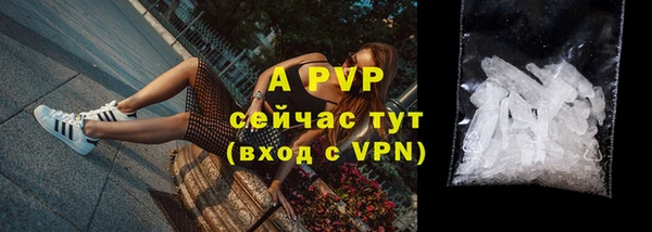 сатива Вяземский