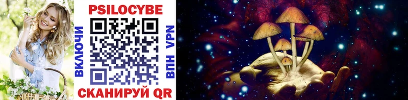 Псилоцибиновые грибы GOLDEN TEACHER  omg   Ставрополь  закладка 